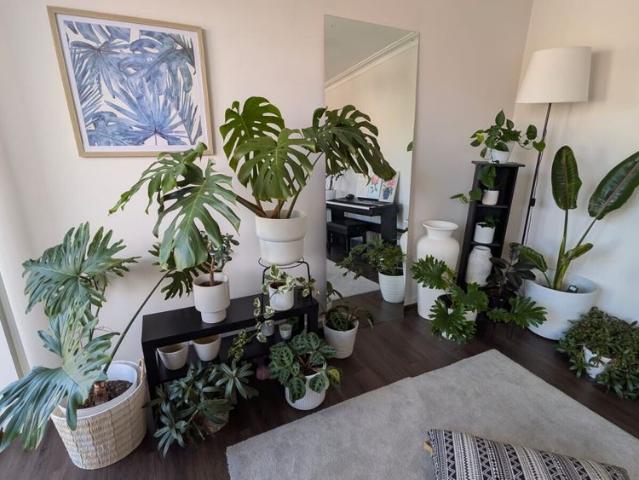 Room for rent in Camerons Creek, Victoria