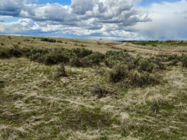 Land for sale in Parma