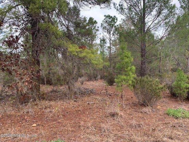 Land for sale in Interlachen, Putnam County