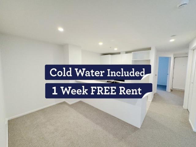 Apartment for rent in Parnell