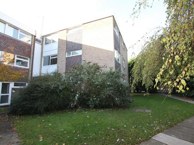 Apartment for rent in New Village, Cottingham