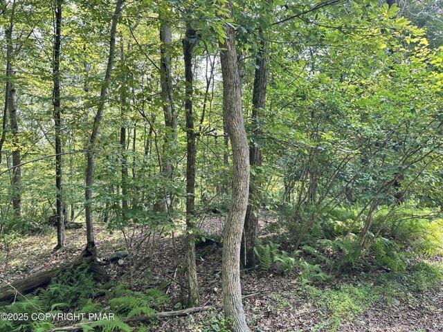 Land for sale in Henryville Land for sale in Henryville