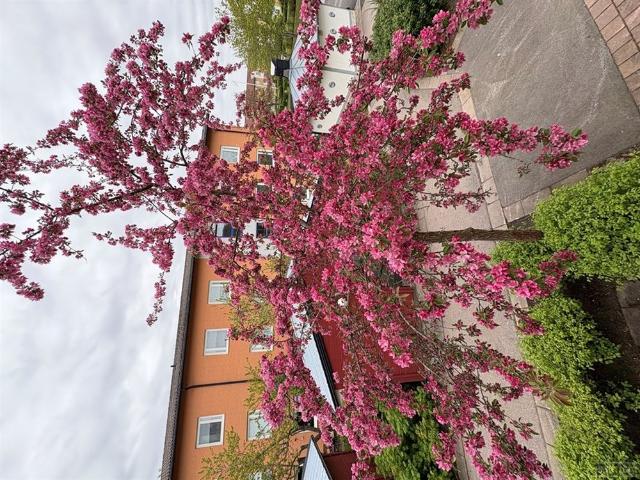 Lägenhet hyra i Trekanten, Oskarshamn