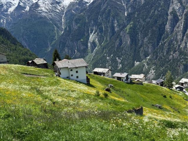 Grundstück kaufen in St. Niklaus, Wallis