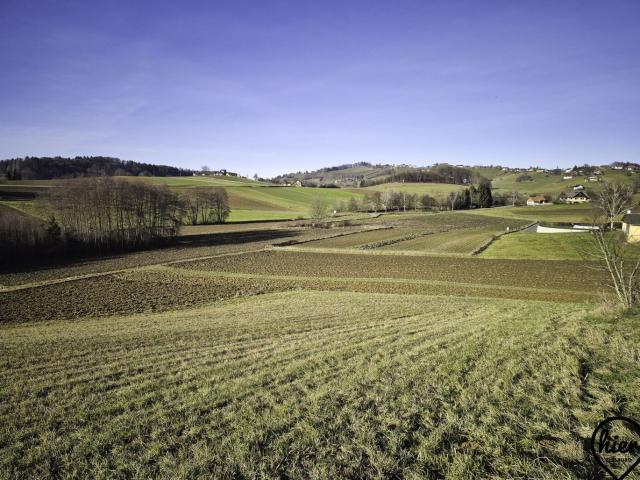 Haus kaufen in Sankt Nikolai im Sausal, Bezirk Leibnitz
