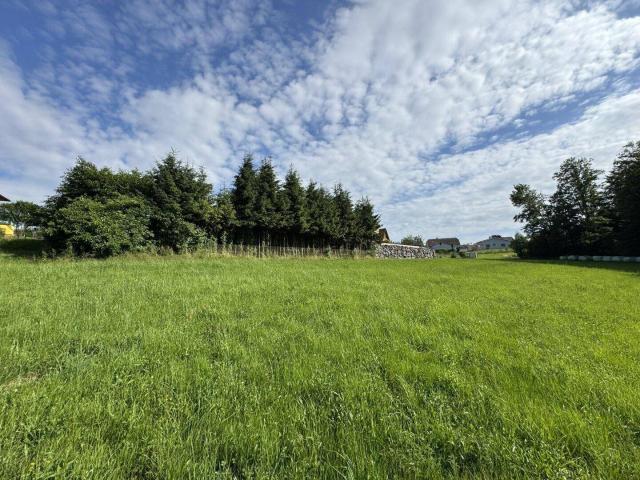 Immobilie kaufen in Hochegg, St. Oswald