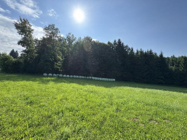 Grundstück kaufen in St. Oswald, Steiermark