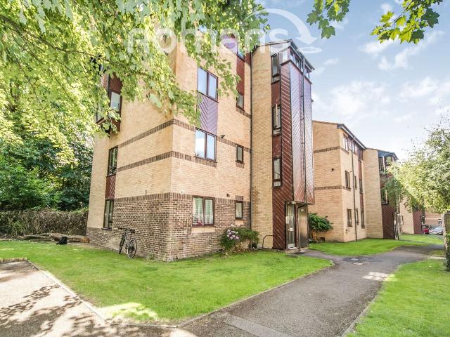 Apartment for rent in Reading