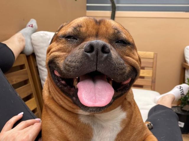 Room for rent in Inner West, Sydney