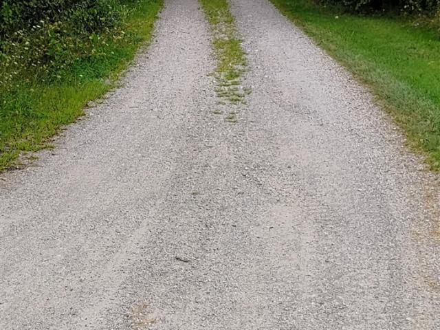 Land for sale in Flat Rock, Wayne County