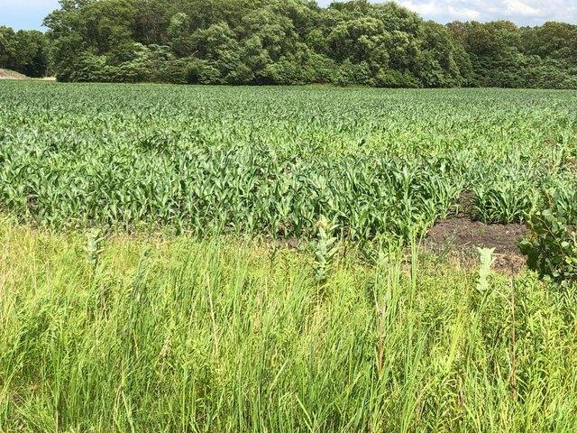 Land for sale in Demotte, Indiana