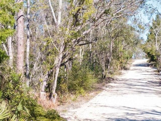 Land for sale in Live Oak