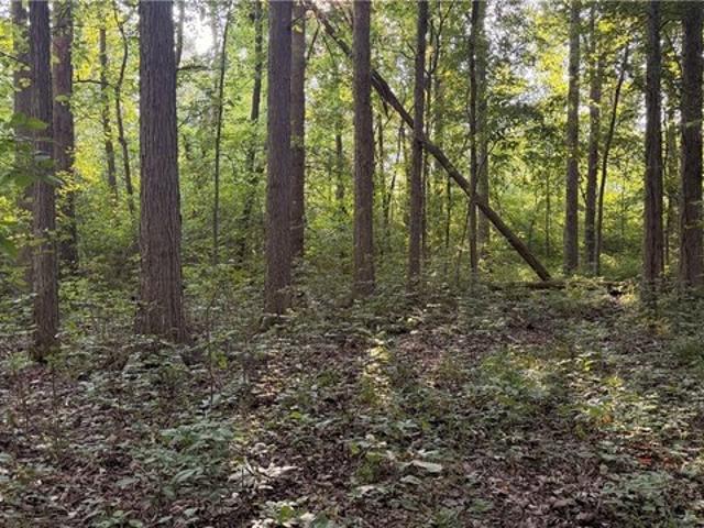 Land for sale in Portage, Ohio