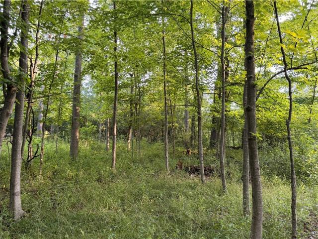 Land for sale in Portage, Ohio