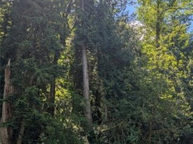 Land for sale in Morton, Washington