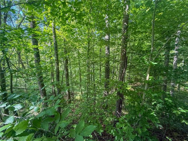 Land for sale in Chesterhill, Ohio