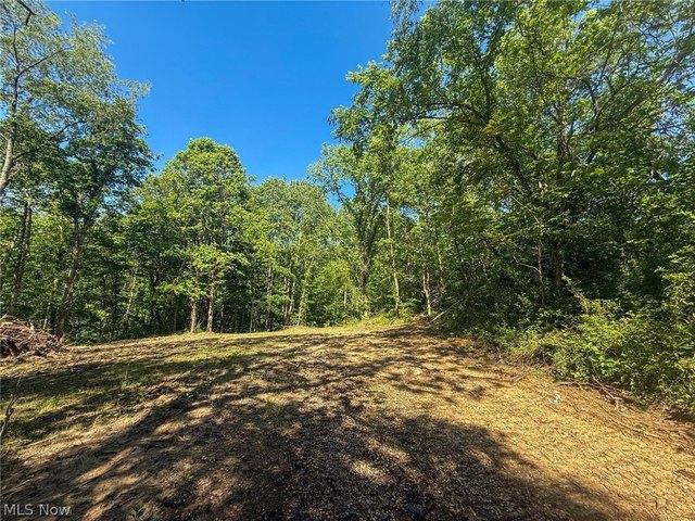 Farm for sale in Chesterhill, Ohio