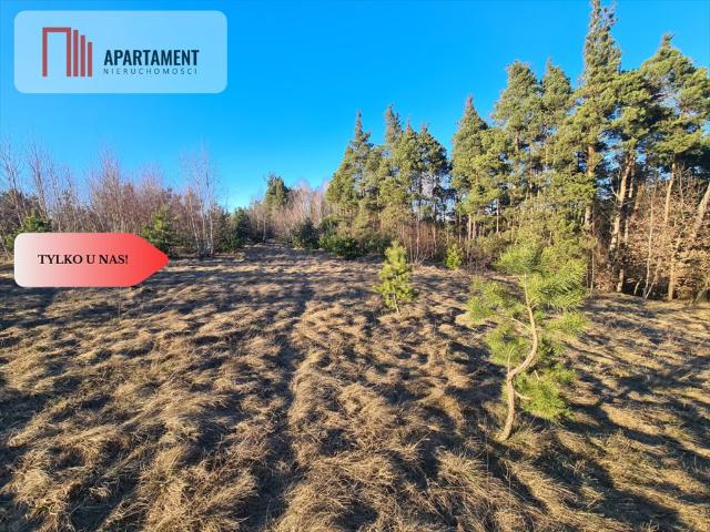 Grunt na sprzedaż w Stężyca, Pomorskie