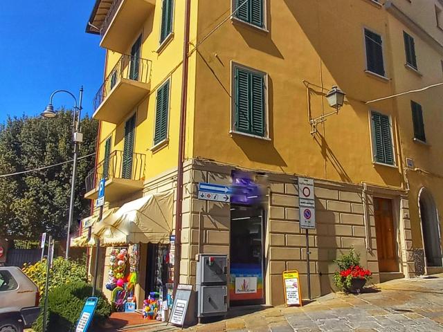 Palazzo in vendita a Montaione, Firenze