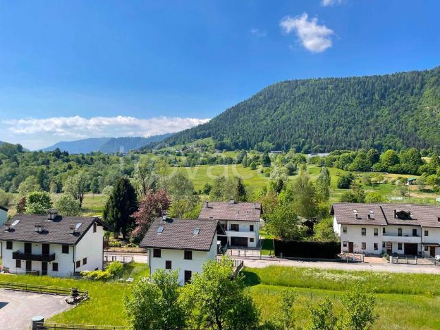 Palazzo in vendita a Comunità Valsugana e Tesino, Pieve Tesino