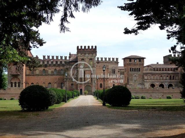 Palazzo in vendita a San Lorenzo de' Picenardi, Torre de' Picenardi