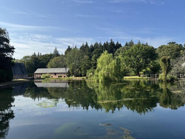 House for rent in East Dorset