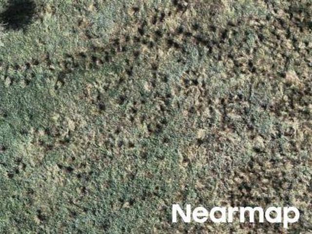 Property for sale in Ocean Park, Washington