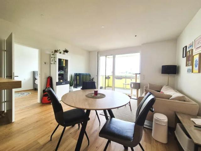 Apartment mieten in Katastralgemeinde Haag Stadt, Haag