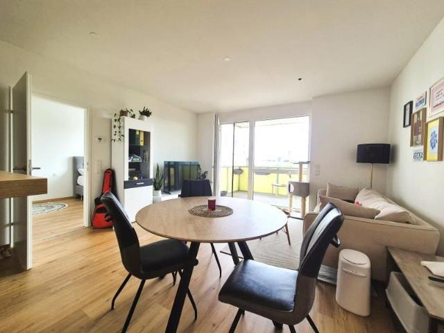 Apartment mieten in Katastralgemeinde Haag Stadt, Haag