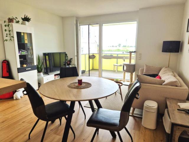 Apartment mieten in Haag, Niederösterreich