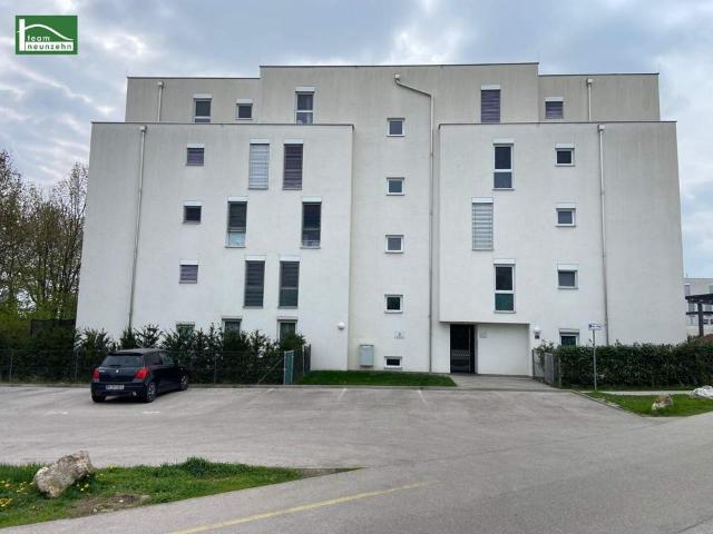 Wohnung mieten in Mödling, Bezirk Mödling