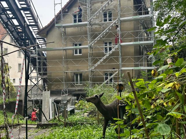 Wohnung kaufen in Fribourg, Freiburg