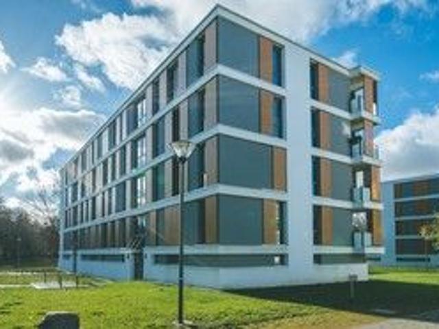 Apartment mieten in Stadtmitte, Wolfsburg