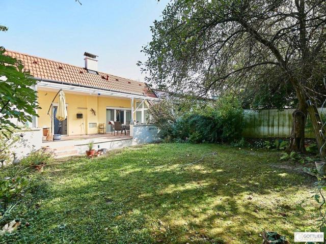 Haus kaufen in Bisamberg