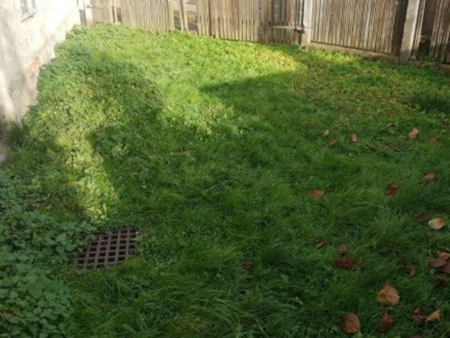 Haus kaufen in Waizenkirchen, Oberösterreich