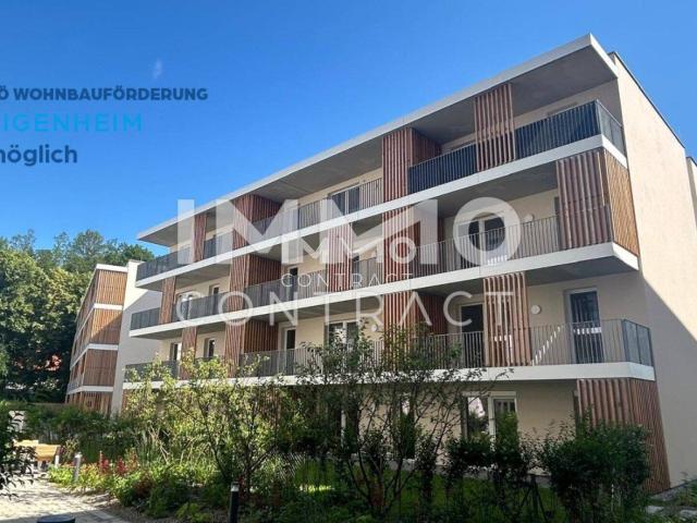 Apartment kaufen in Weitern, St. Pölten