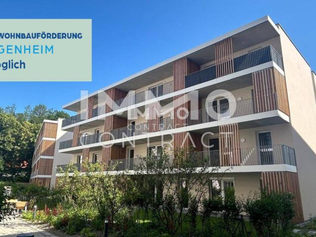 Apartment kaufen in Weitern, St. Pölten