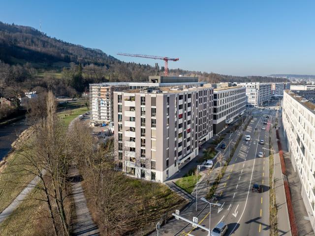 Apartment mieten in Einigen, Zürich