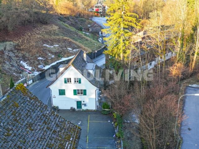 Einfamilienhaus kaufen in Zollikon, Zürich