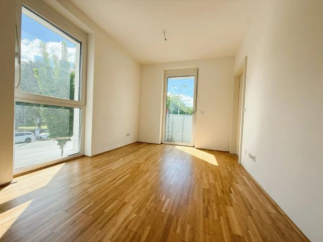 Apartment mieten in Innere Stadt, Gersdorf-Feistritz