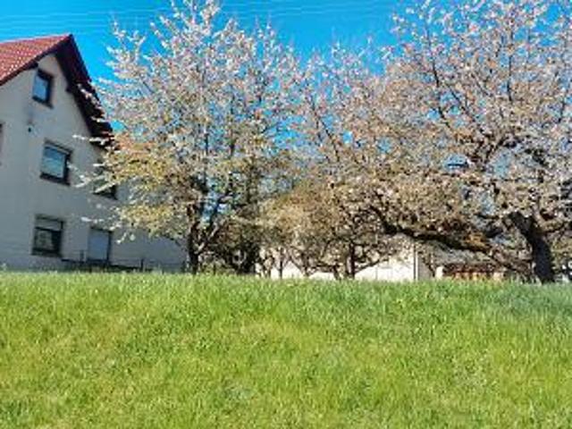Erdgeschosswohnung kaufen in Baden-Württemberg