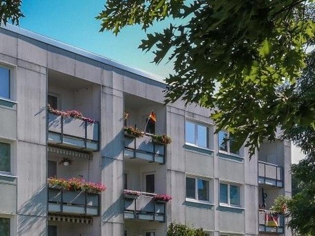 Apartment mieten in Detmerode, Wolfsburg