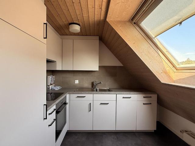 Apartment mieten in Mühlental, Schaffhausen