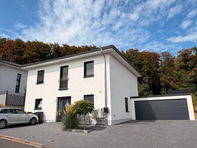 Haus kaufen in Freisen
