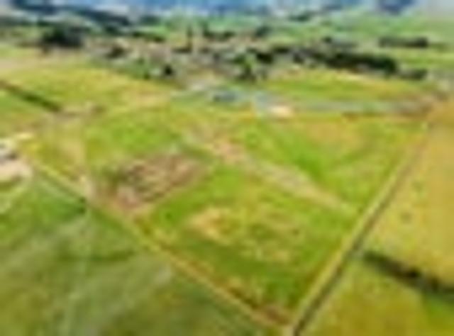 Land for sale in Otakou