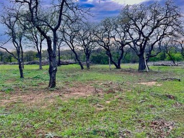 Land for sale in Gordon, Texas