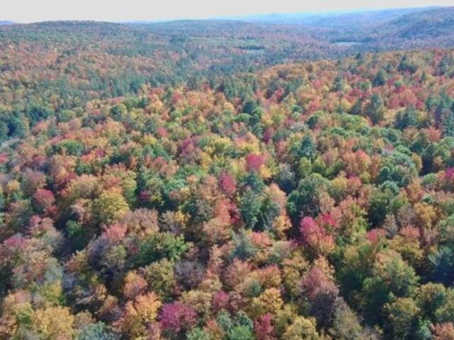 Land for sale in Lempster, Sullivan County