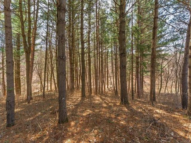Land for sale in La Valle, Wisconsin