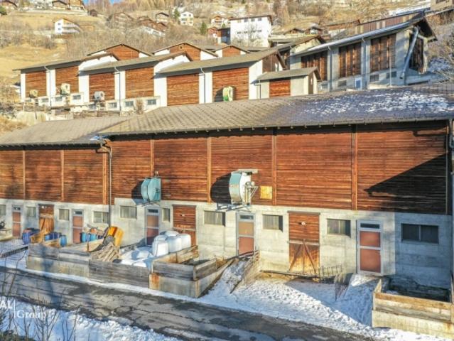 Wohnung kaufen in Visperterminen, Wallis