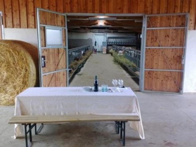 Terreno in vendita a Piemonte, Alessandria